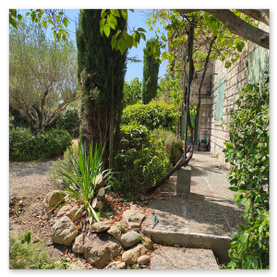 Jardin